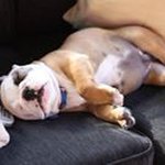 Toni Gorman - @mmrstoni - Instagram