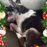Toni Greene - @toni.greene.100 - Instagram