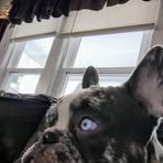 Toni Greene - Facebook