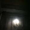 Toni Greene - @toni.greene8 - TikTok