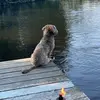 toni - @toni._.harmon - TikTok