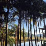 Toni Hatton - @tonihatton66 - Instagram