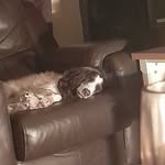 Toni Head - @tonihead64 - Instagram
