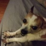 Toni Hendrickson - @toni.hendrickson.7545 - Instagram