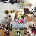 Toni Herbert - @therbert0331 - Instagram