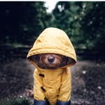 Toni herman - @toniherman31 - Instagram
