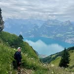 Toni Hess - @hesstoni - Instagram