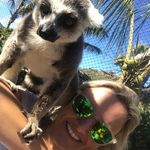 Toni Hodges - @ladytonihodges - Instagram