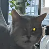Toni Jacob - @ogswamphag - TikTok