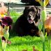Toni Kline - Facebook