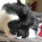 Toni Lloyd - @sylvestie1 - Instagram