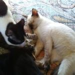 Toni Messer - @poohlvr1962 - Instagram