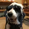 Toni Michele - @toni_michele16 - TikTok