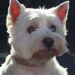 Toni Michele Allston - @toniallston - Instagram