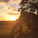 Toni Neumann - @toni.s50 - Instagram