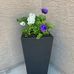 Toni Olson - Facebook