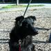 Toni Pastore - Facebook