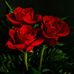 Tonia Pastore - Facebook