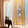 tonipearce0 - @tlp6358 - TikTok
