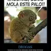 Tonipons14 - @tonipons14 - TikTok