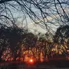 Toni Predmore - @toni.predmore - TikTok