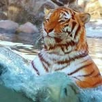 Toni Rassi - @rassitoni - Instagram