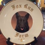 Toni Loumos Reeves - @foxrunnfarms - Instagram