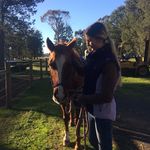Toni Richards - @dkta_equestrian - Instagram