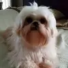 Toni Richards - @toni.richards59 - TikTok