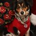 Toni Rocco - Facebook