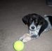 Toni Rocco - Facebook