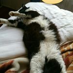 Toni Schultz - @mitmit1977 - Instagram