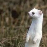 Toni Schuster - @toni.schuster.90 - Instagram