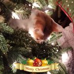 Toni Sharp - @toni.sharp.583 - Instagram