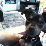 Toni Sharp - @toni.gordon.50 - Instagram
