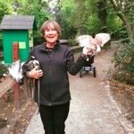 Toni Sharp - @babs192023 - Instagram
