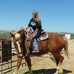 Toni Simms Phelps - @rubydeck1 - Instagram
