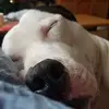 tonisimms382 - @tonisimms382 - TikTok