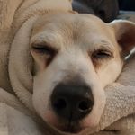 toni sinclair - @sinclair8322 - Instagram