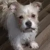 Toni Steele - @toni.steele08 - TikTok