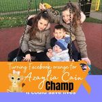 Toni Steele - @toni.steele.792 - Instagram