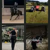 stein_toni.2903 - @stein_toni.2903 - TikTok