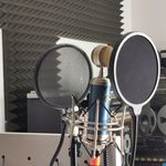 Toni Stein - @tonistein77 - Instagram