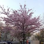 Toni Stein - @stein_toni - Instagram