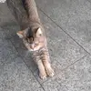 Toni_stein - @toni_stein - TikTok