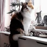 Toni Steiner - @libertypib1 - Instagram