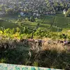 Toni🇩🇪 - @toni.steiner3 - TikTok