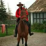 @tonisteiner - Instagram