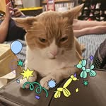 Toni Talbot - @toni.goldsmith.98 - Instagram