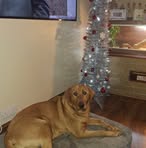 Toni Thacker - Facebook